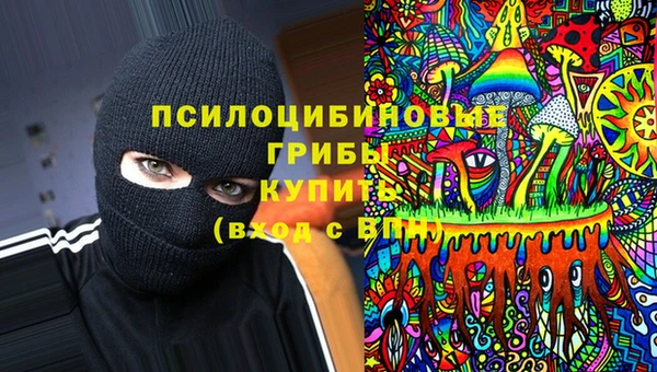 прущий лед Алзамай