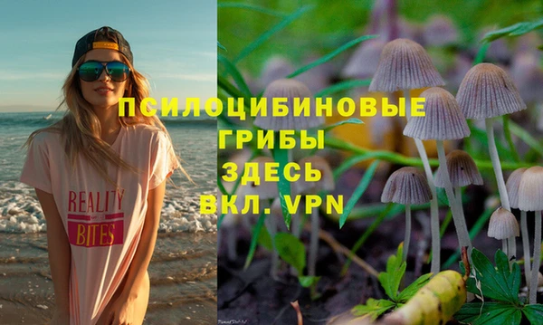 индика Абинск