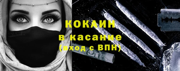 прущий лед Алзамай