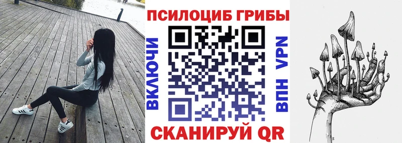 где можно купить   Ковров  OMG ссылки  Псилоцибиновые грибы Cubensis 